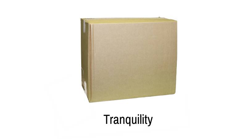 Tranquility Premium DayTime Adult Incontinence Pullup Diaper